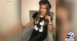 'Ketamine Queen' Jasveen Sangha accused of selling fatal dose to Matthew Perry agrees to plead guilty