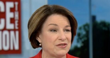 Klobuchar Calls for a National 'Assault Weapons' Ban in Wake of Minneapolis Shooting