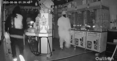 Labubu dolls worth $10,000 stolen from Los Angeles store