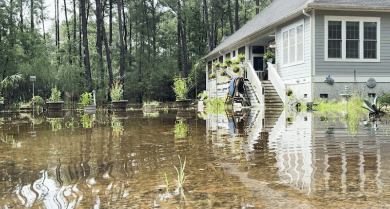 Lady's Island couple battles years of flooding frustration, wants answers from county and state