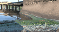 Lake Mattoon beach staying closed