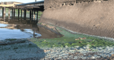 Lake Mattoon beach staying closed