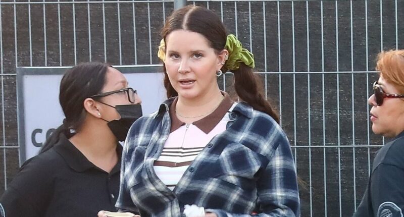 Lana Del Rey reveals body-shaming hell following extreme slim down