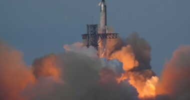 Latest launch of SpaceX's Starship deploys 8 dummy satellites, then splashes down into Indian Ocean