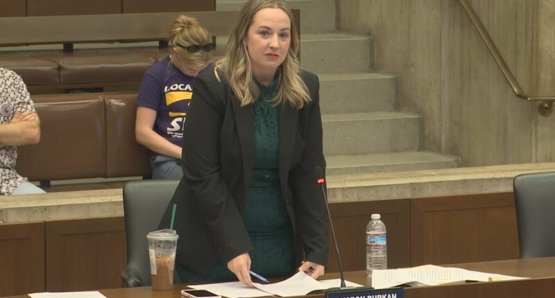 Lawmaker interrupts veteran suicide talk to condemn 'offensive' phrase
