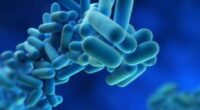 At least two people have died following a Legionnaires outbreak in New York City (stock)