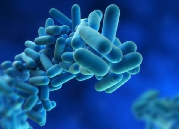 At least two people have died following a Legionnaires outbreak in New York City (stock)