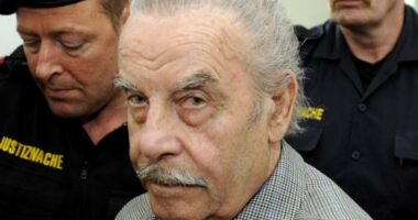 Let Josef Fritzl out of prison for coffee, rapist father's lawyer says