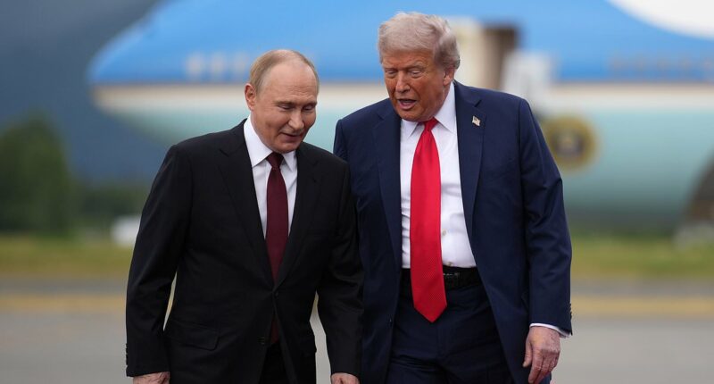 Lip reader reveals tarmac whispers between Trump and Putin in Alaska