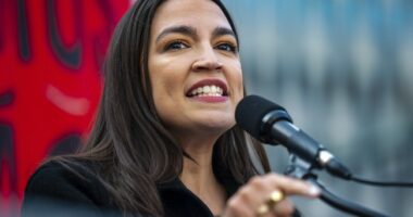 Lipstick, Meet Pig: AOC Touts New Trash Cans on NY's Notorious 'Market of Sweethearts'