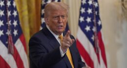 Lisa Cook's lawyer compares Trump to Humpty Dumpty