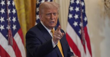 Lisa Cook's lawyer compares Trump to Humpty Dumpty