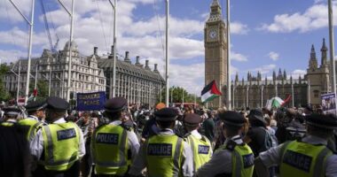 Police officers arrest a demonstrator during a protest in support of the Palestinian People in Gaza, in Parliament Square, in London