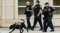 Long-elusive Mexican drug lord Ismael ‘El Mayo’ Zambada pleads guilty in US