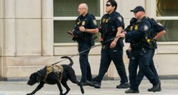 Long-elusive Mexican drug lord Ismael ‘El Mayo’ Zambada pleads guilty in US