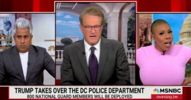 Screenshot of MSNBC's Morning Joe discussing Trump taking over the DC Police Department.