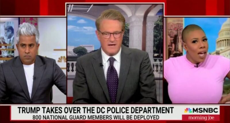 Screenshot of MSNBC's Morning Joe discussing Trump taking over the DC Police Department.