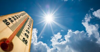 Macon Co. Health Dept. provides sun safety tips