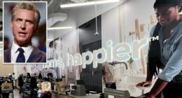 Major retailer wants to sack CA Gov Newsom: 'regulated & expensive'
