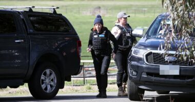 Major update in manhunt for alleged cop killer Dezi