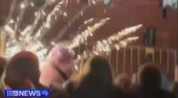 The mishap sent explosives rocketing into patrons at the Jimboomba Family Carnival.ï»¿