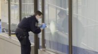 Man, 83, killed in 'random', 'senseless' alleged stabbing attack