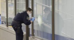 Man, 83, killed in 'random', 'senseless' alleged stabbing attack