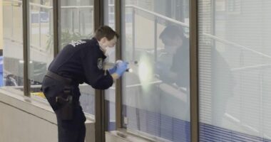 Man, 83, killed in 'random', 'senseless' alleged stabbing attack