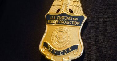 Man accused of hurling sandwich at federal agent in D.C. hit with felony assault charge