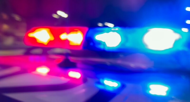 Man arrested following hours-long standoff after allegedly breaking into Teutopolis apartment