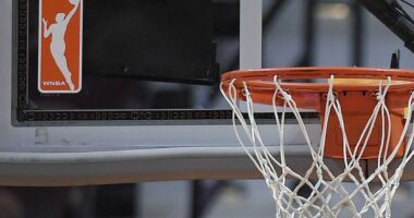 Man arrested for throwing sex toy into crowd at WNBA game in Phoenix: police