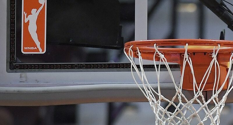 Man arrested for throwing sex toy into crowd at WNBA game in Phoenix: police