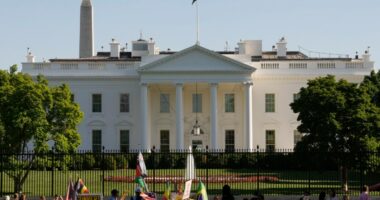 Man arrested in flag-burning incident near White House hours after Trump order