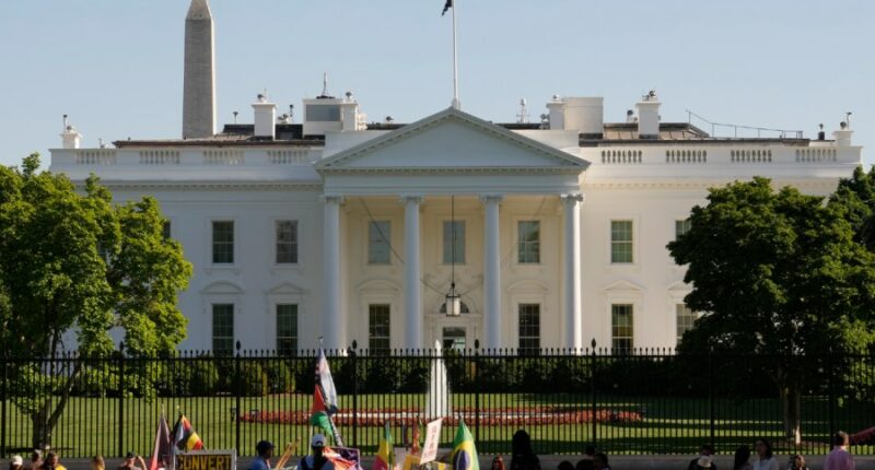 Man arrested in flag-burning incident near White House hours after Trump order