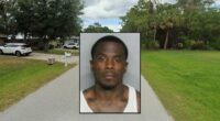 Man choked mom-to-be, yanked her hair over 'noodles': DA