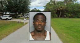 Man choked mom-to-be, yanked her hair over 'noodles': DA