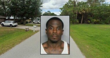 Man choked mom-to-be, yanked her hair over 'noodles': DA