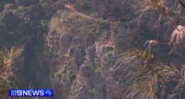 Witnesses say the man had beenï»¿ trekking with a woman at Morialta National Park when he fell down a ravine near Deep View Lookout just before 12.30pm.
