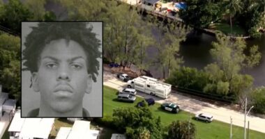 Man found in canal was killed by 15-year-old brother: Police