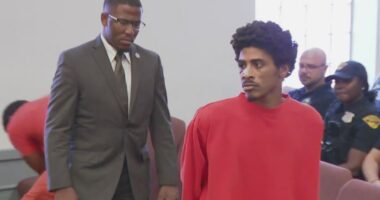Man indicted for killing grandpa, brother then shooting 2 officers in manhunt: prosecutor