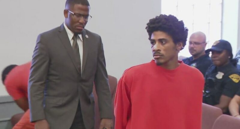 Man indicted for killing grandpa, brother then shooting 2 officers in manhunt: prosecutor