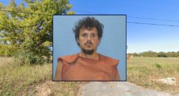 Man killed husband with screwdriver during fight: Police