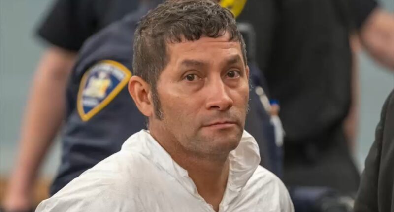 Man pleads not guilty to killing coworker with machete, shooting Suffolk County, NY officer in face during Long Island standoff