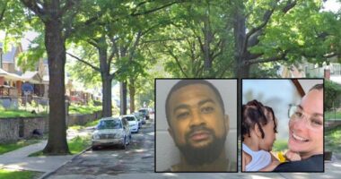 Man runs over pregnant ex with F-150, shoots her dead: Cops