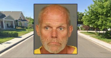 Man seen smoking as medics worked on wife pleads to murder