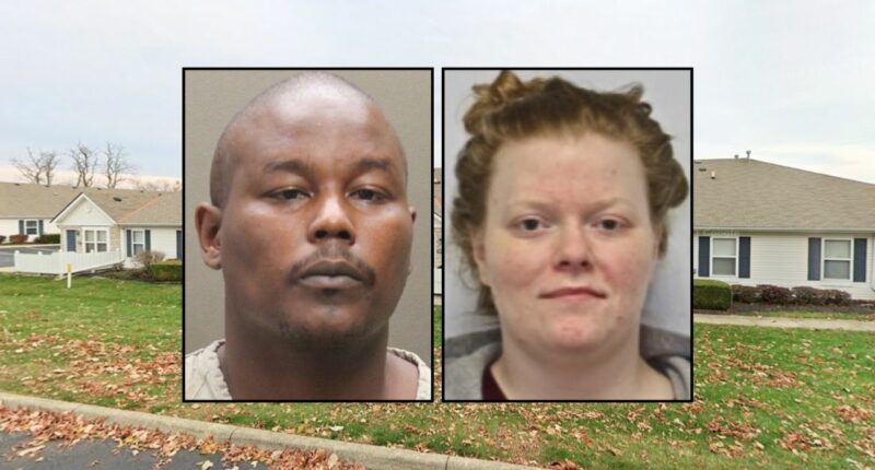 Man spent 3 days killing, chopping up woman with ax, shears