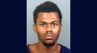 Man stabs brother's girlfriend until sibling shot him: Cops
