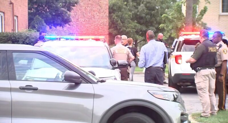Man suffocates teen girl, stabs her mother in unincorp. Lyons Township, Illinois attack in 6400-block of Joliet Road: prosecutors