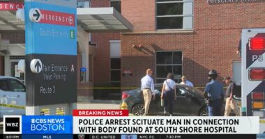 Man told neighbors body in blankets was mannequin: Cops