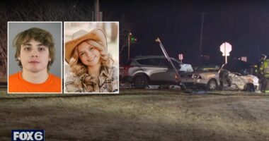 Man who killed girl, dog in drunk driving crash sentenced